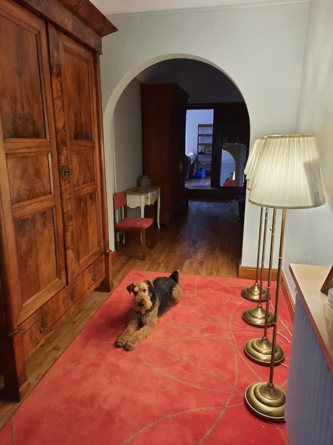 Le Clos Des Soyeux Saint-Victor-sur-Rhins Екстериор снимка